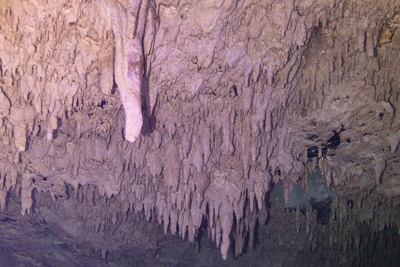 Speleothems in The Pit, Mexico
