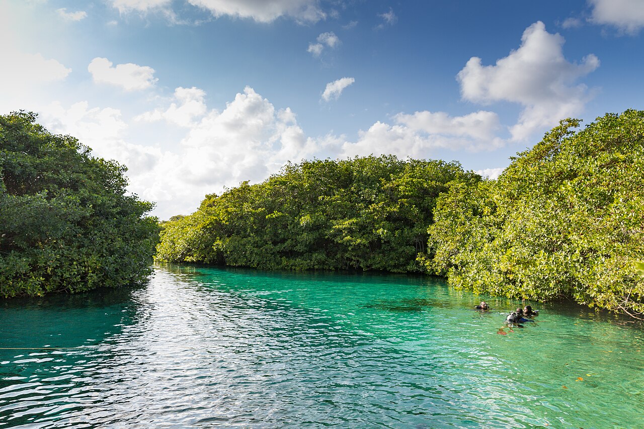 Divers at Casa Cenote
