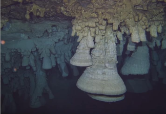 The Hells Bells formations in Cenote El Zapote
