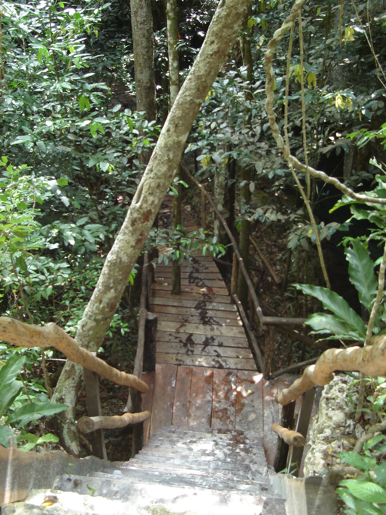 The path to the Pet Cemetery cenote entrance