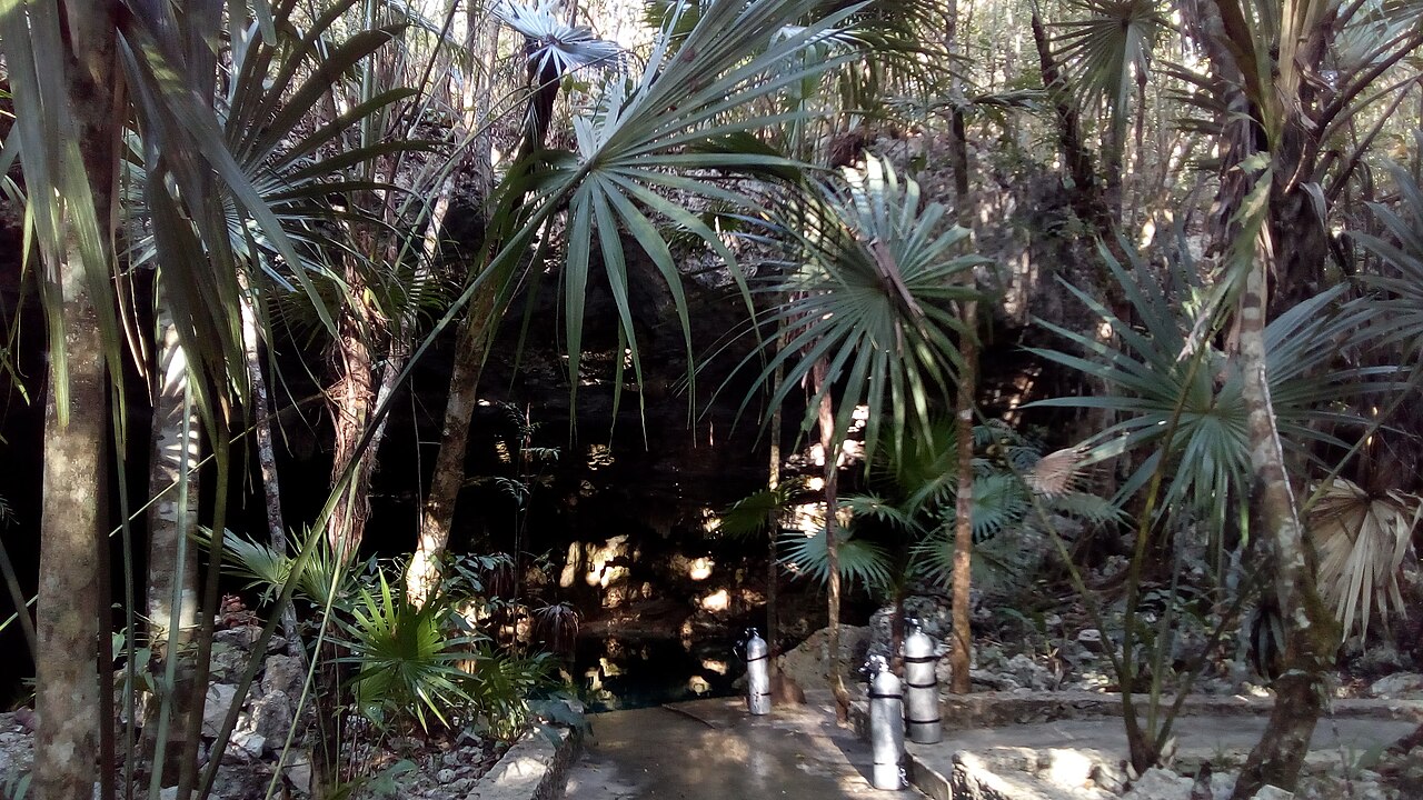 Forest at Cenote Tajma Ha