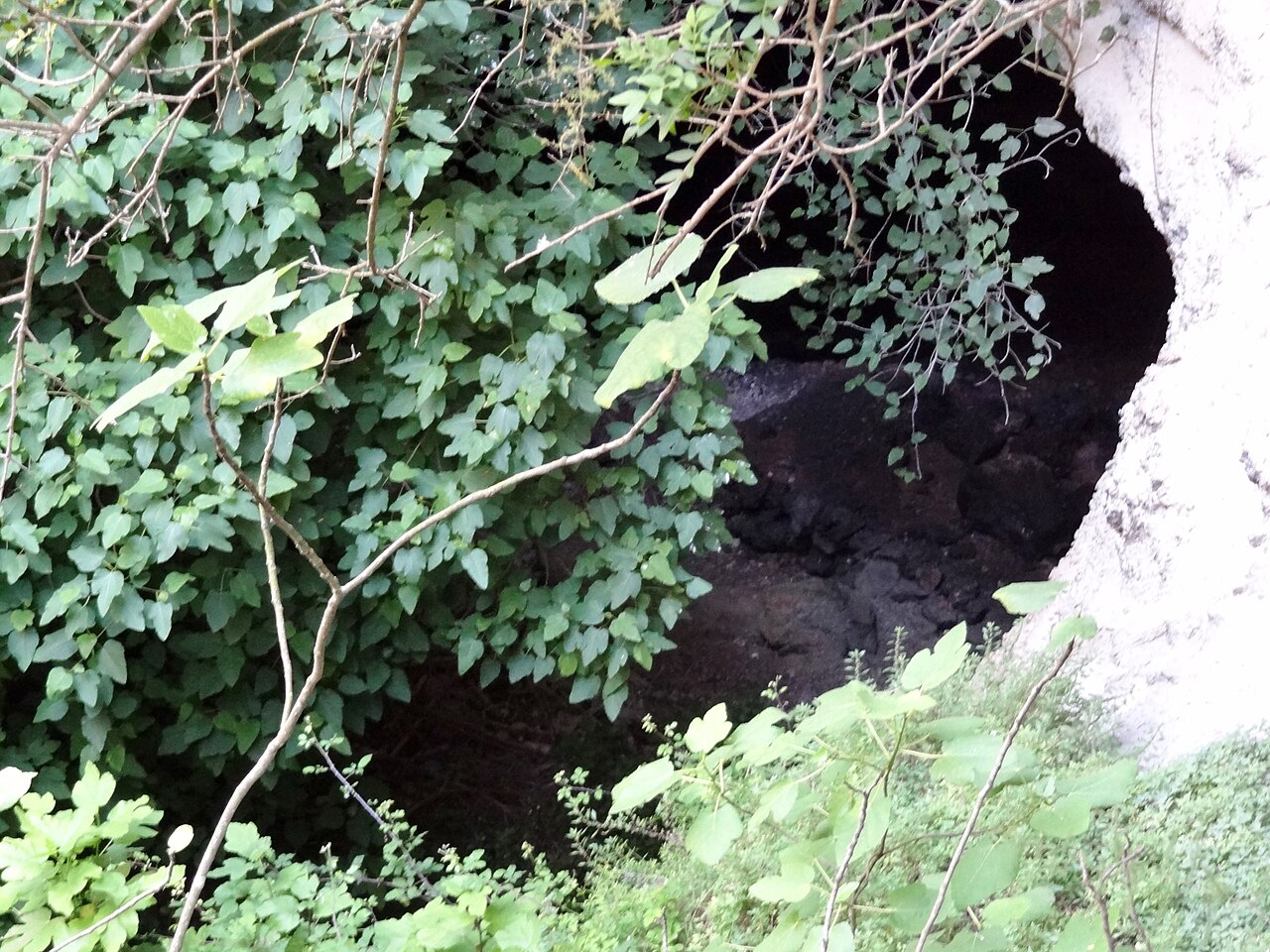 The entrance to Cova de sa Gleda