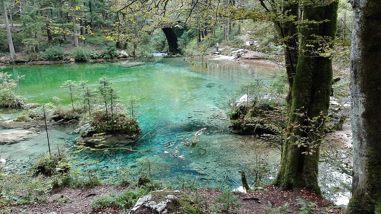 Divje jezero (spring lake)