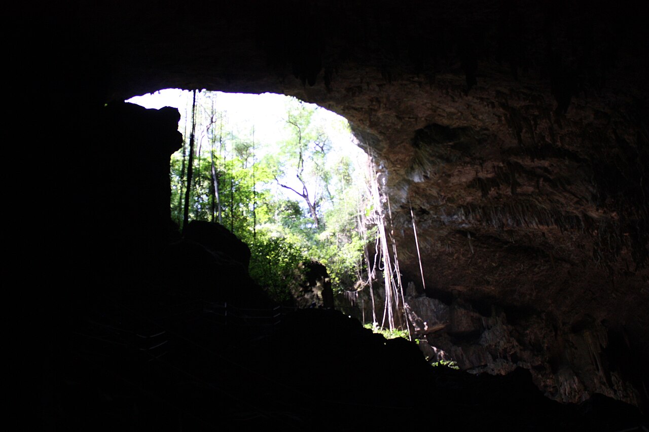 The vine-covered entrance of Gruta do Lago Azul, Bonito (photo: Laura Athayde, 2014, CC BY-SA 3.0).