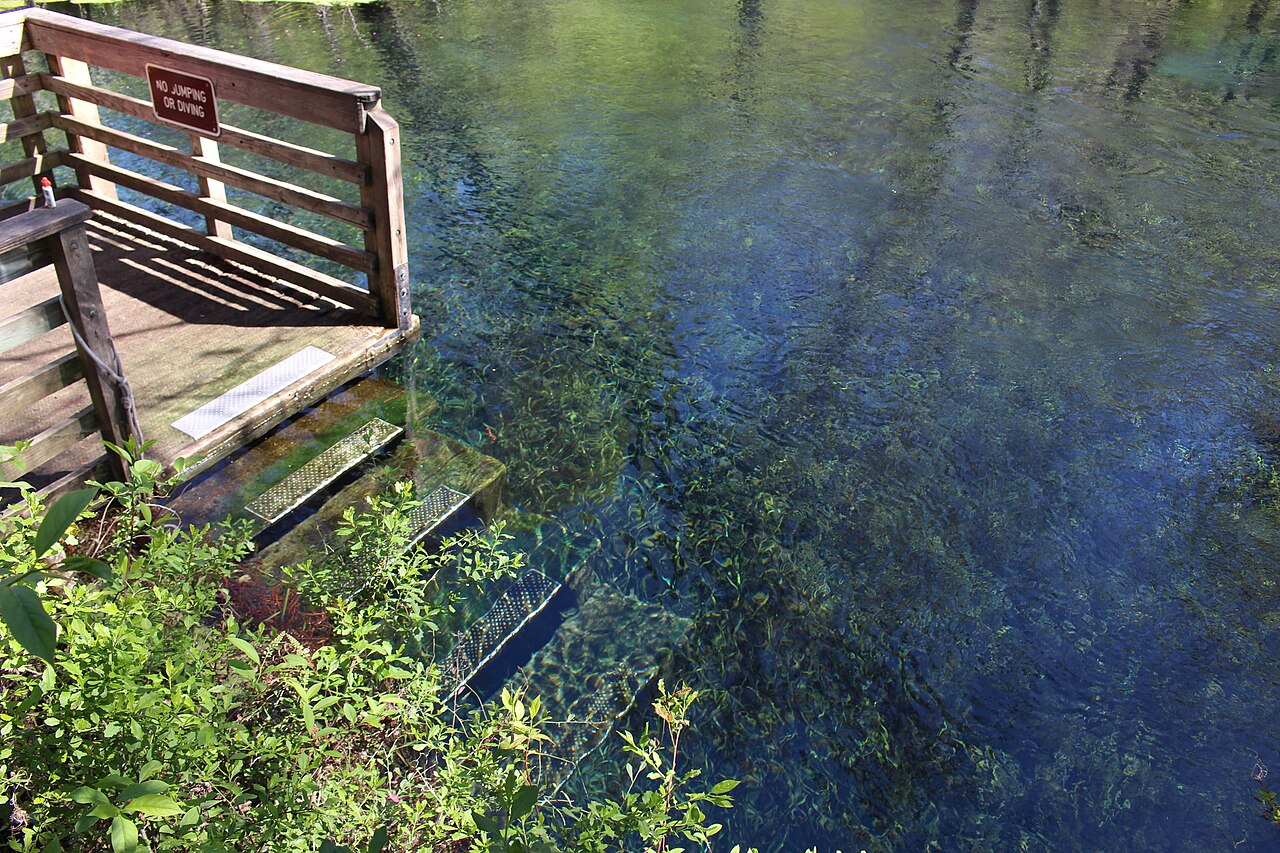 Blue Hole Spring, Ichetucknee Springs State Park