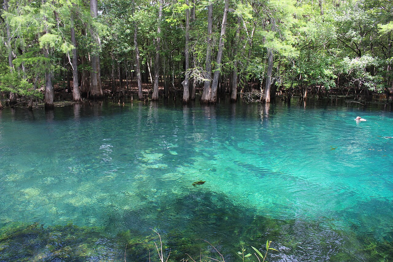 The main spring at Manatee Springs State Park