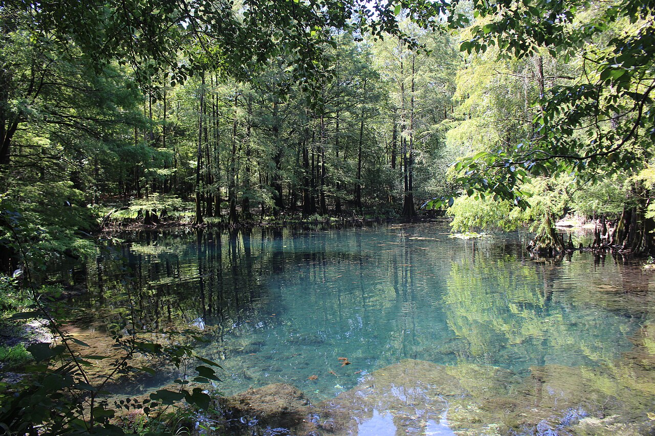 Peacock Spring, Wes Skiles Peacock Springs State Park