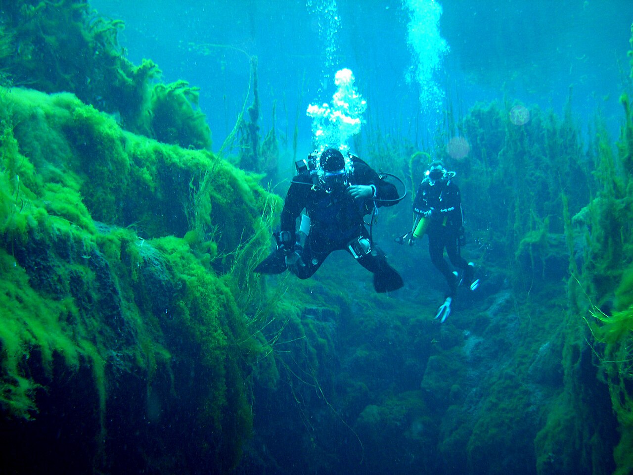 Cave divers at Piccaninnie Ponds