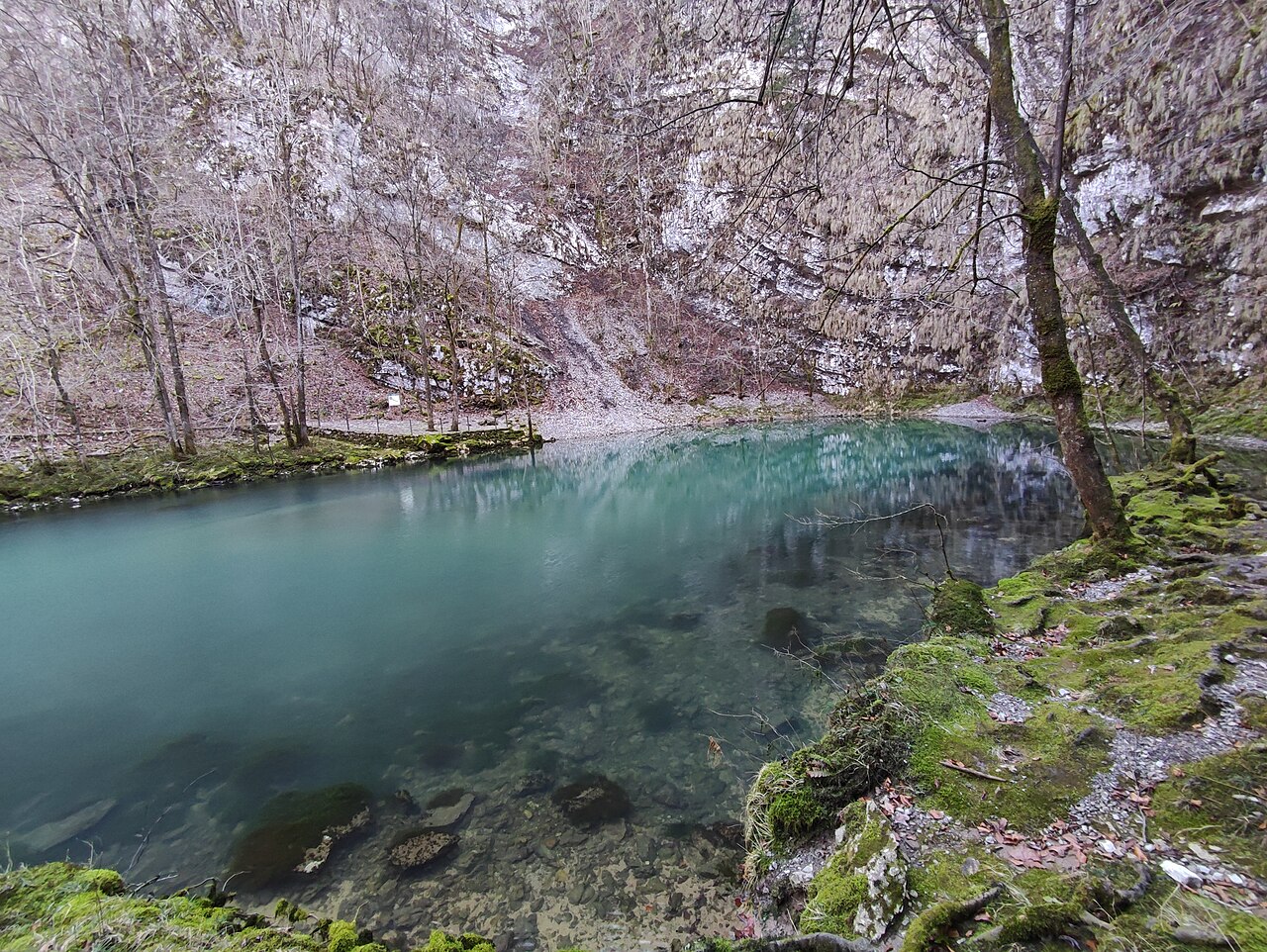 Divje jezero