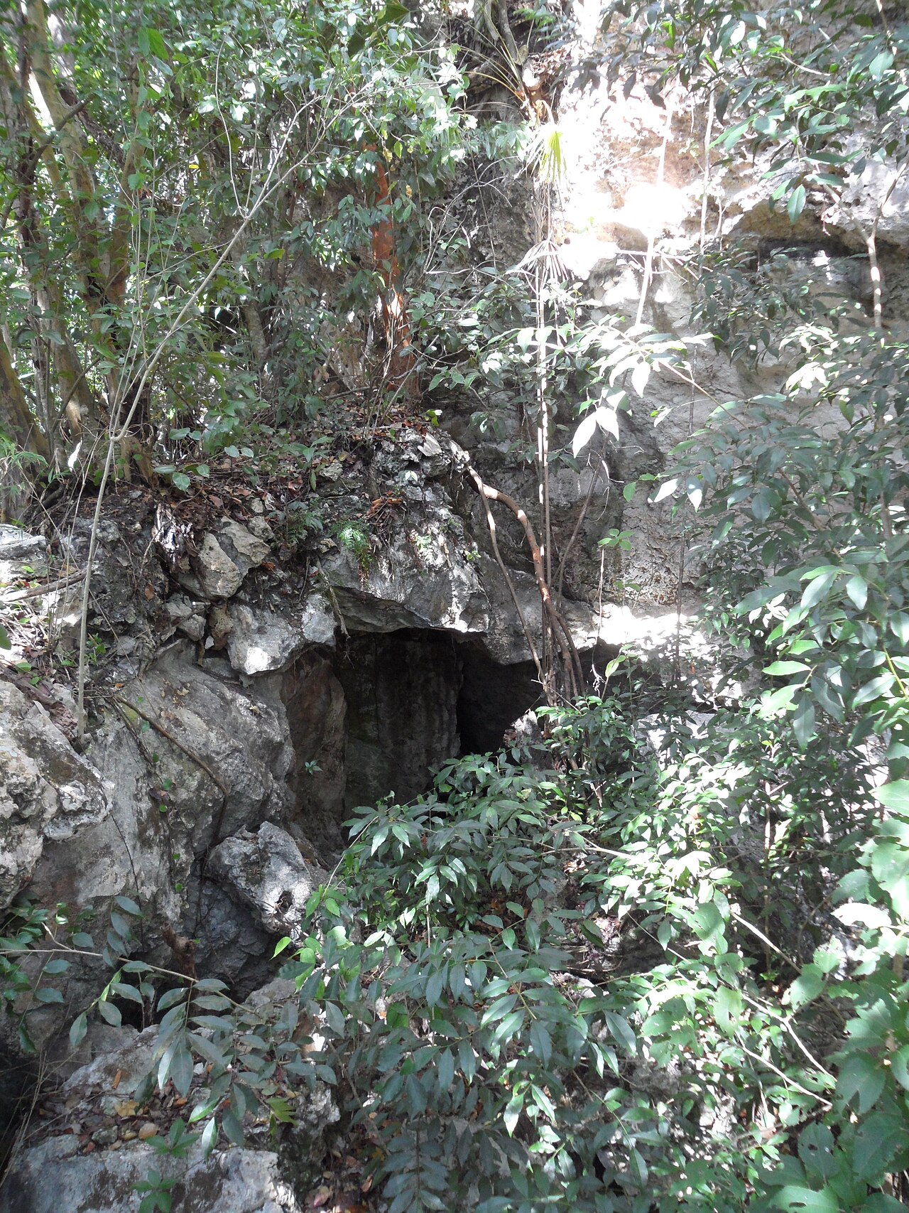 A cave entrance in Lucayan National Park