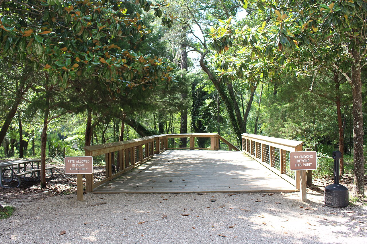 Boardwalk at Madison Blue Spring State Park
