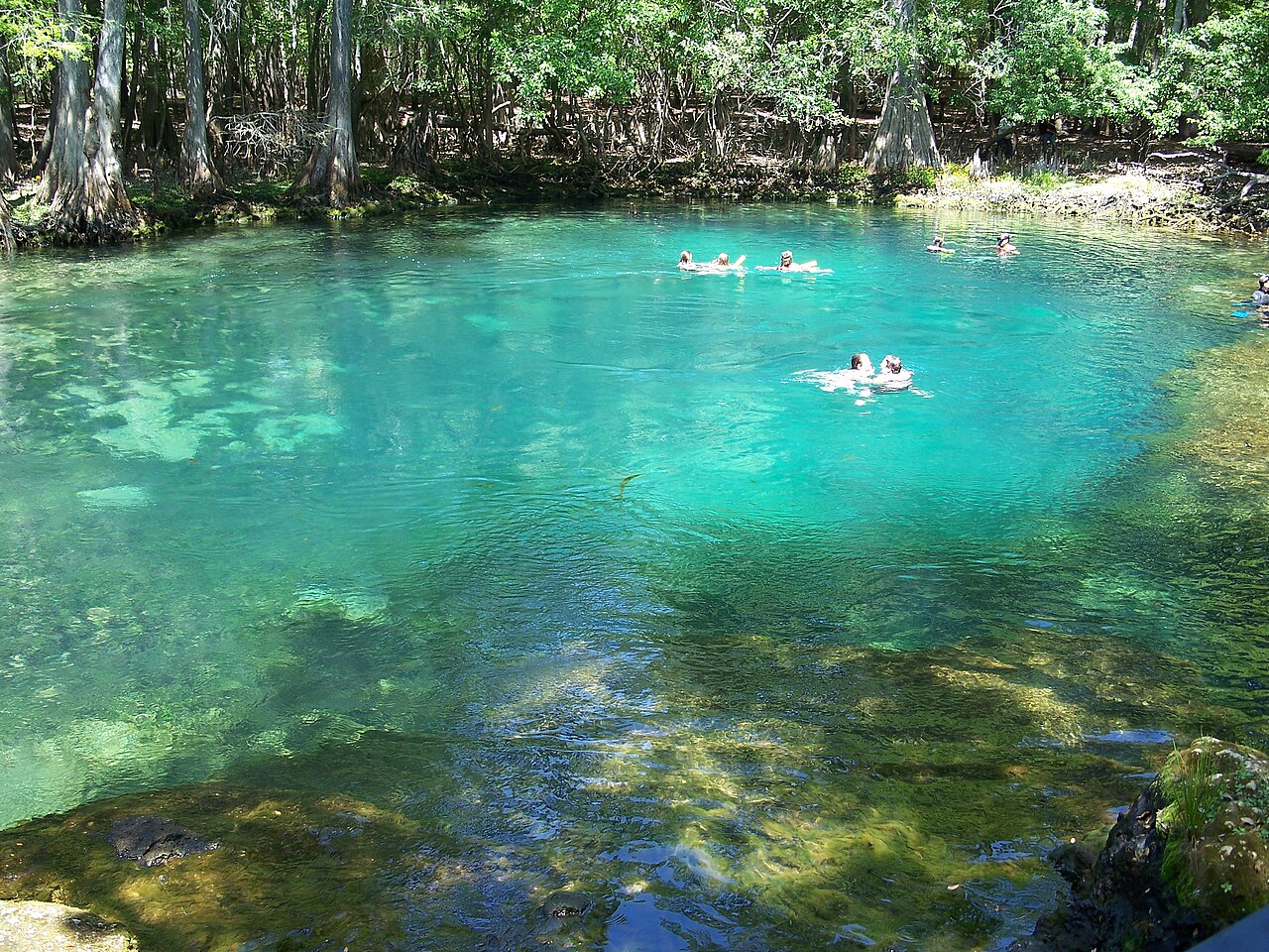 Manatee Springs cave system