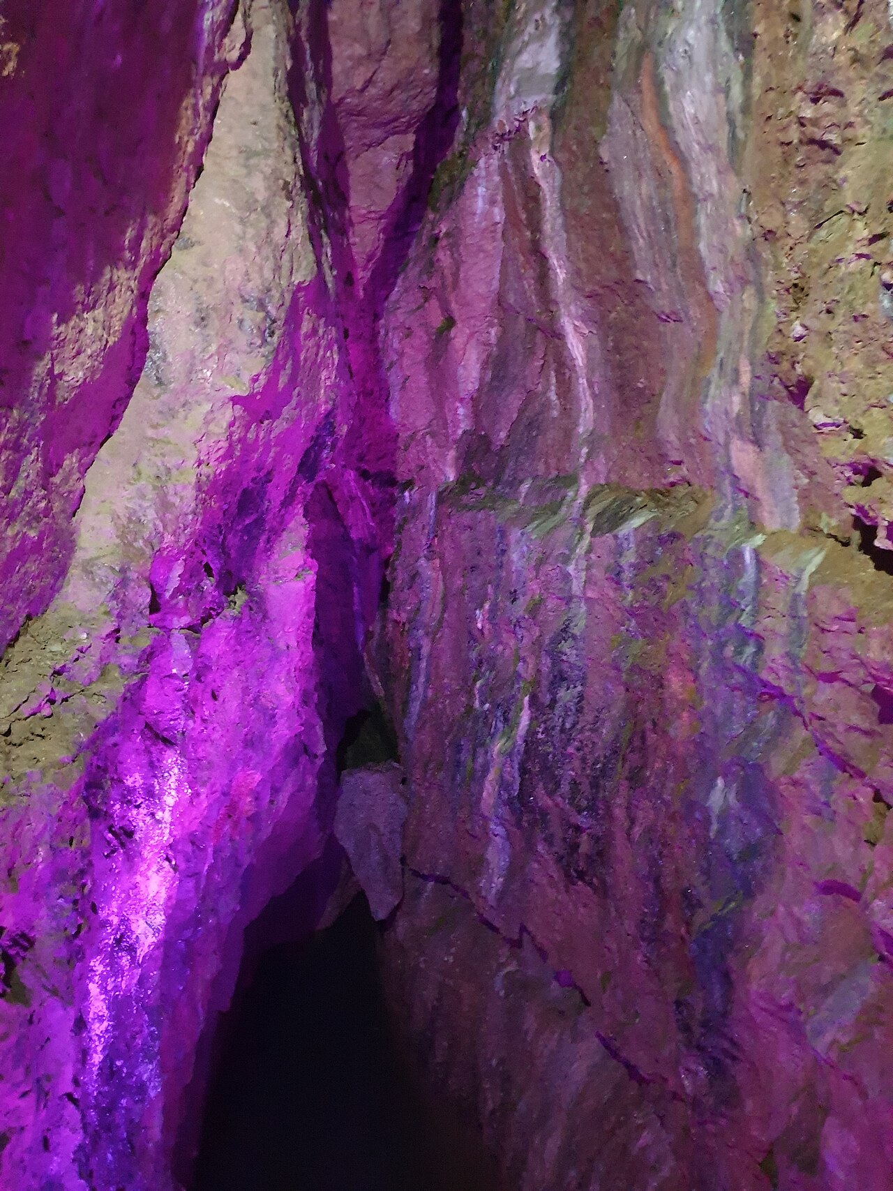 The illuminated show cave at Wookey Hole