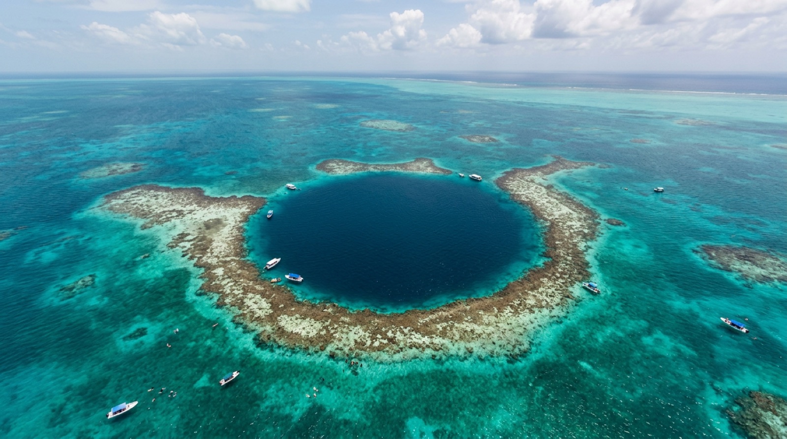 Belize Barrier Reef — illustration