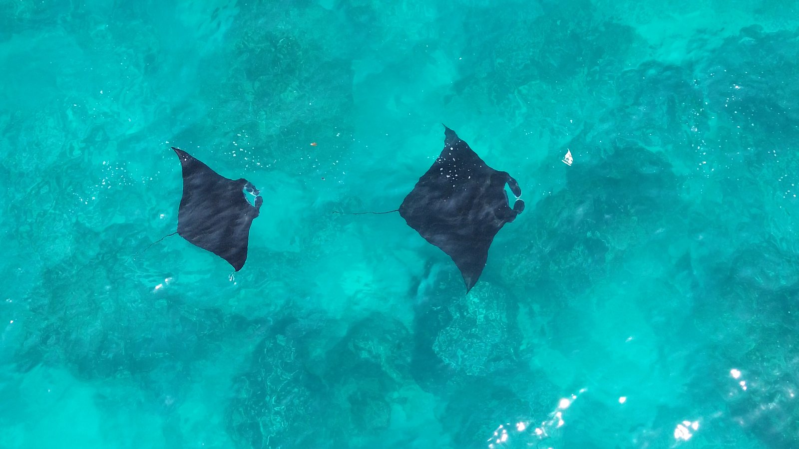 Bali & Nusa Penida
