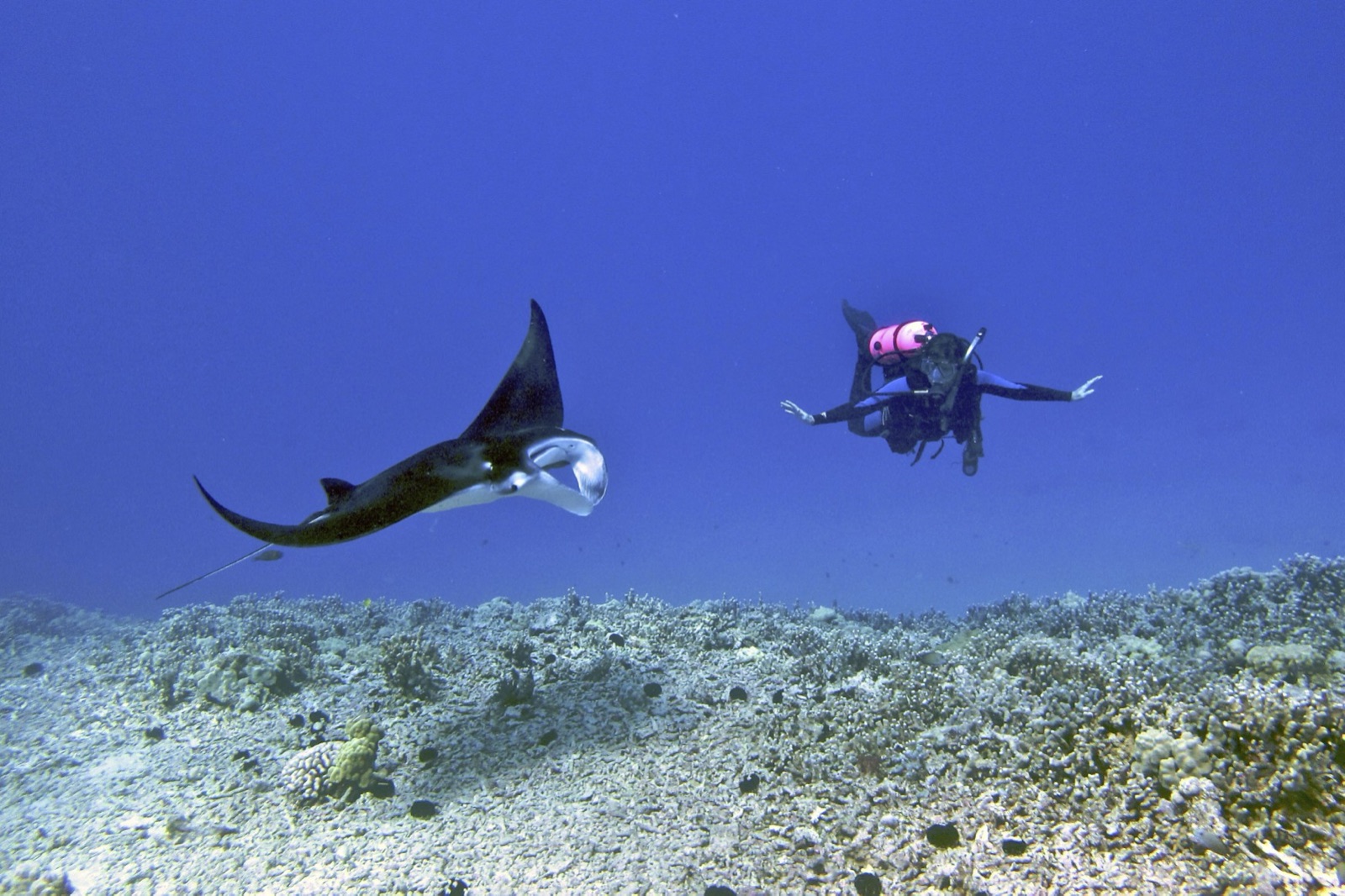 Kona, Hawaiʻi