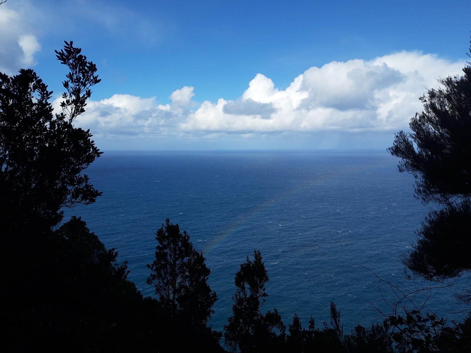 Madeira