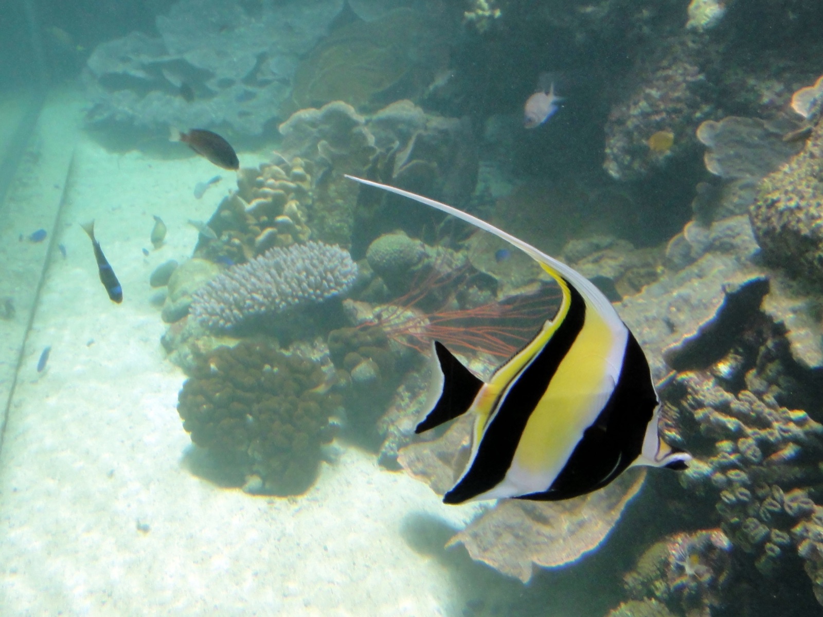 Palau