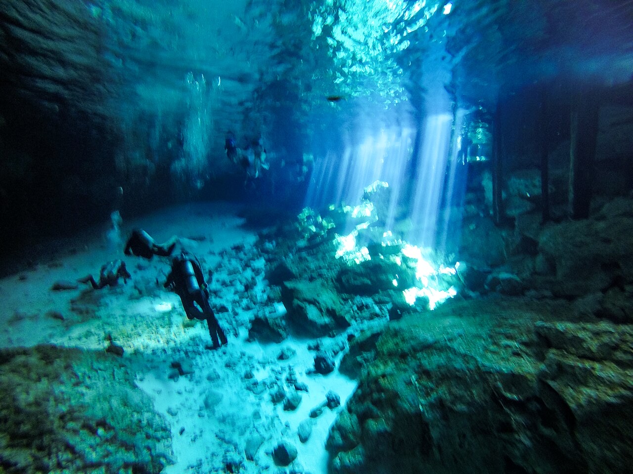 Riviera Maya & the Cenotes
