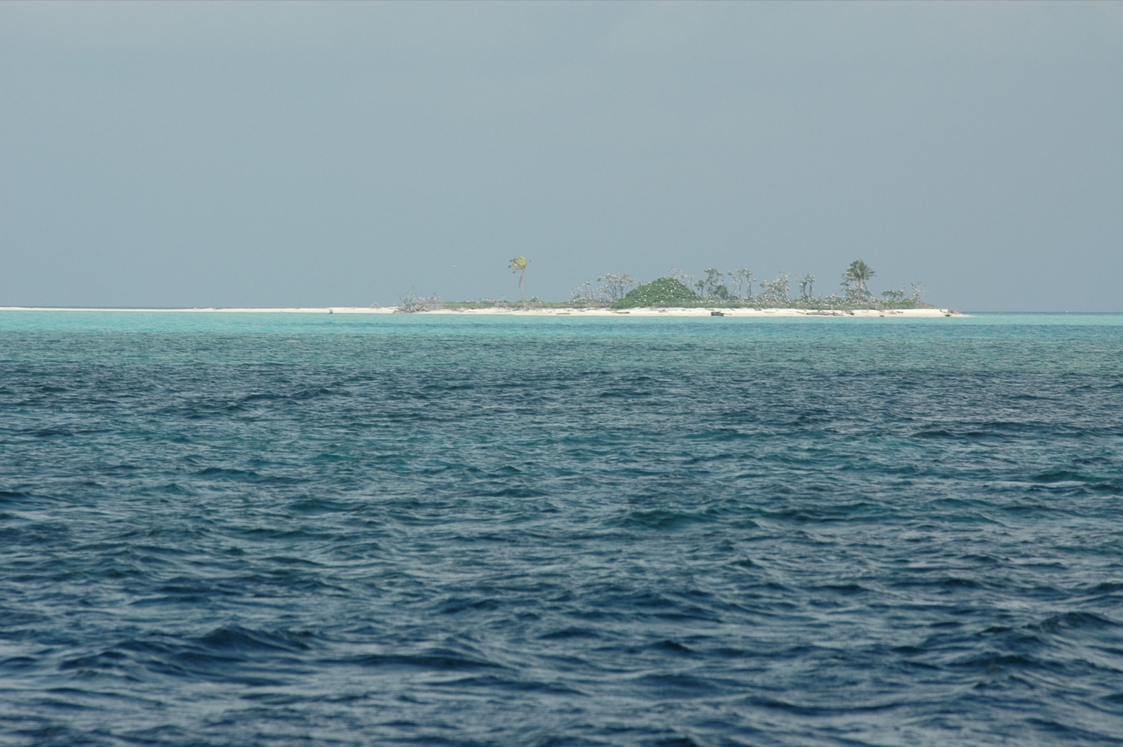 Tubbataha Reefs