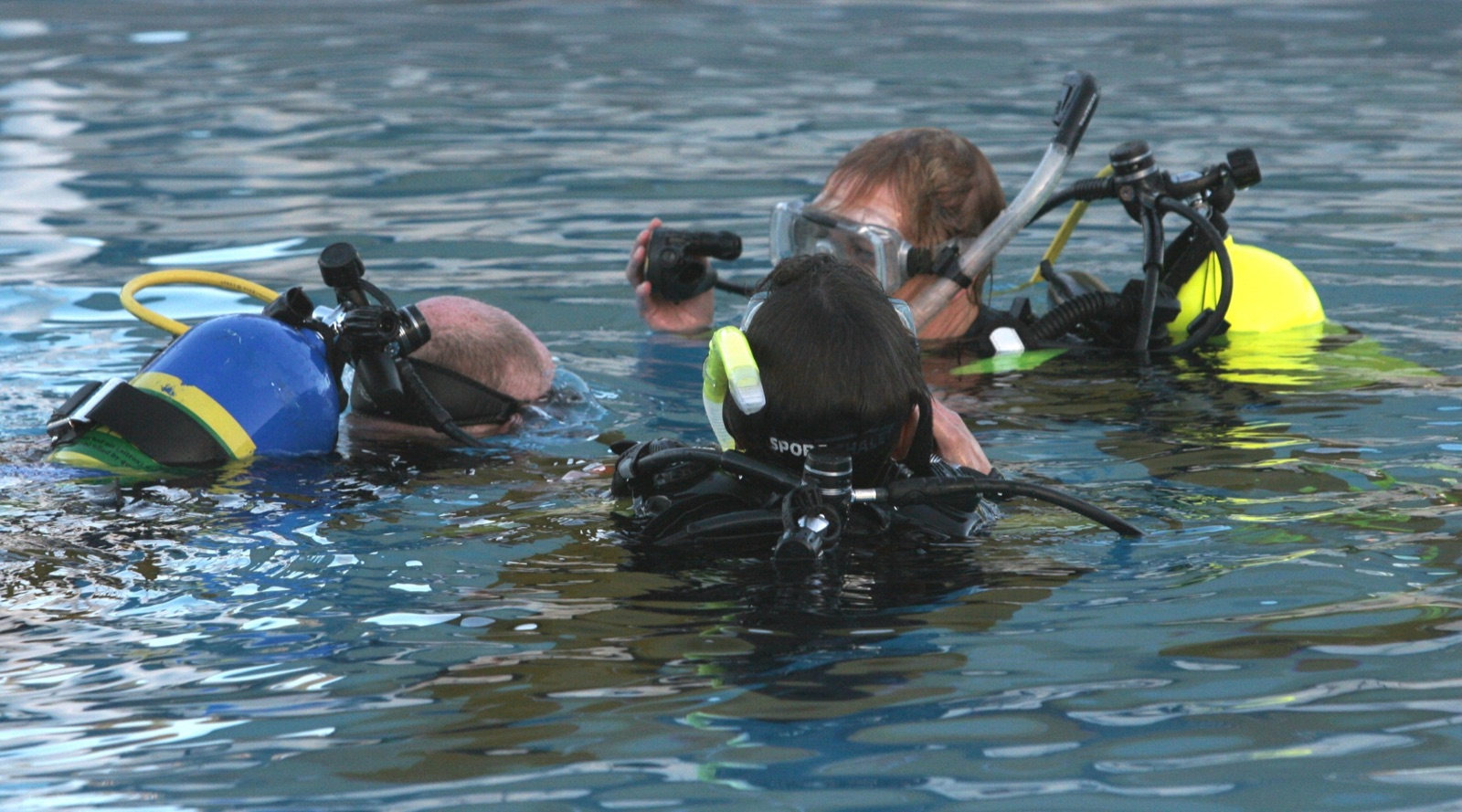 The Best Dive Destinations for Beginners