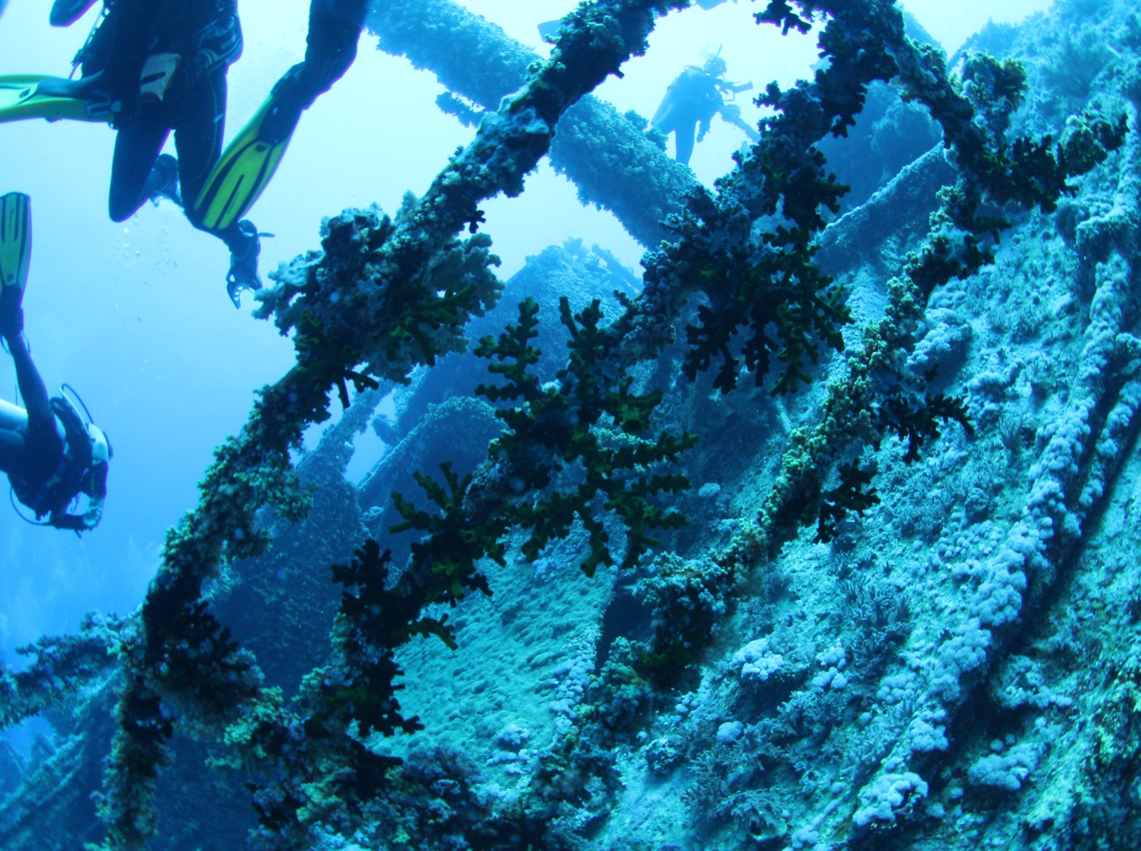 Ship wreck Numidia (1901), front deck view, Big Brother Island, Red Sea