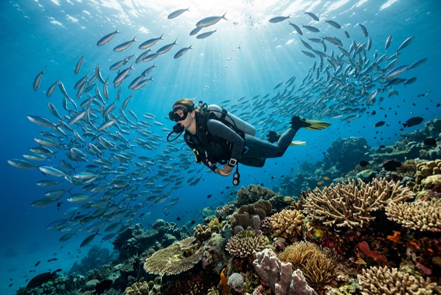 Manta Point (Karang Makassar) — illustrative image
